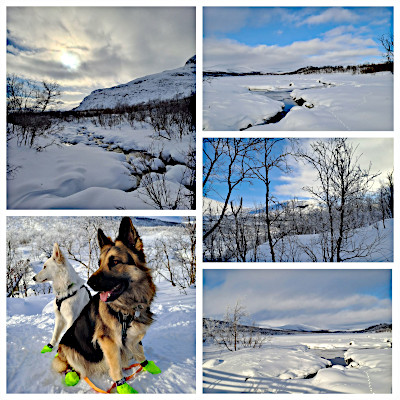 Eyla und Xora im finnischen Winter