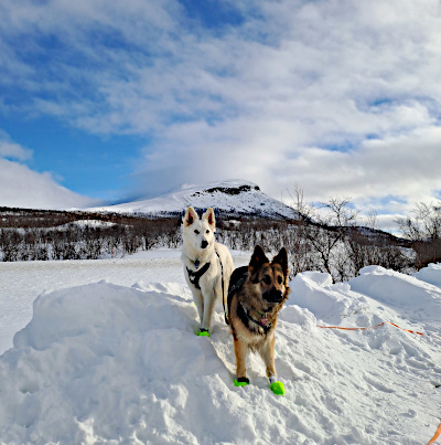 Eyla und Xora im finnischen Winter