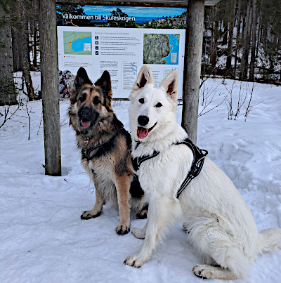 Eyla und Xora im Nationalpark