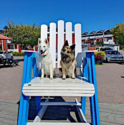 Eyla und Xora im Hafen von Ackersund